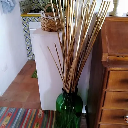 Il Corbezzolo Appartement *