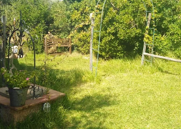 Il Corbezzolo *